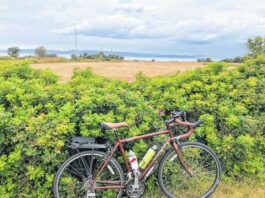 
			
				                                A bicycle rests against a hedge by the St. Lawrence River on Route Verte 1, one of Quebec’s prime long-distance bicycling routes, outside the village of Kamouraska, on Sept. 8, 2021. The route takes cyclists through a tapestry of storybook villages, canola fields and hedgerows of wild roses along a broad expanse of the St. Lawrence River. It’s once again accessible to Americans and other outsiders as long as they’re vaccinated and meet the other conditions for admission into Canada in the COVID era.
                                 AP photo

			
		
